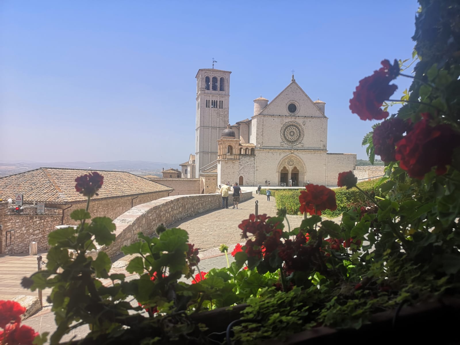 La nostra settimana Francescana: messaggi di Francesco d’Assisi